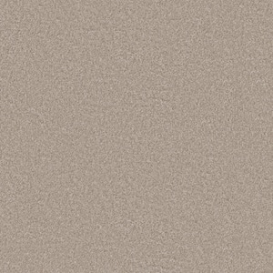 Rosemary II - Aster-Beige 12 ft. 56 oz. High Performance Polyester Texture Installed Carpet