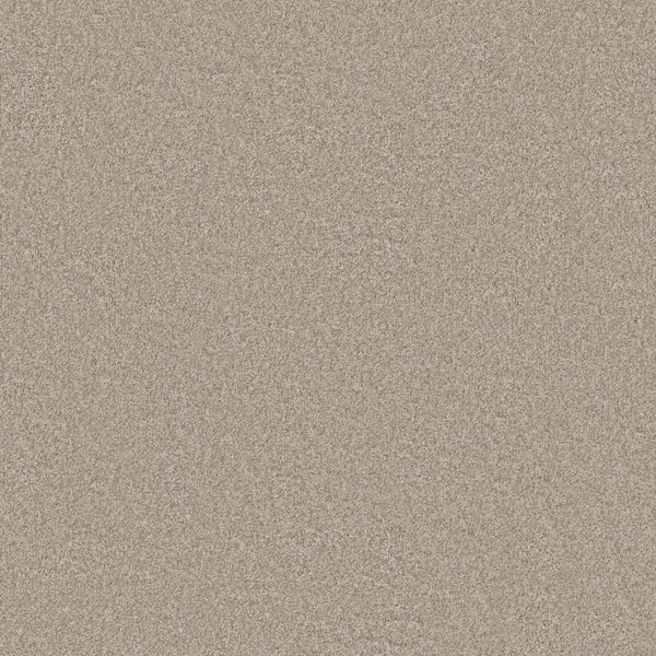 Lifeproof Rosemary II - Aster-Beige 12 ft. 56 oz. High Performance Polyester Texture Installed Carpet