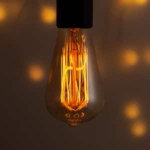 60-Watt Equivalent ST64 Dimmable E26 Vintage Edison Incandescent Light Bulb 2700K (12-Pack)