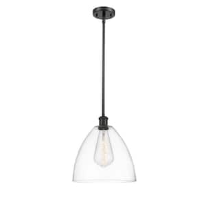 Bristol Glass 1-Light Matte Black Cage Pendant Light with Clear Glass Shade