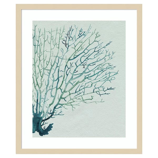 Amanti Art Seaglass Shadow I by Grace Popp 21 in. W x 25 in. H. Wood Framed Wall Art Print Framed in Brown