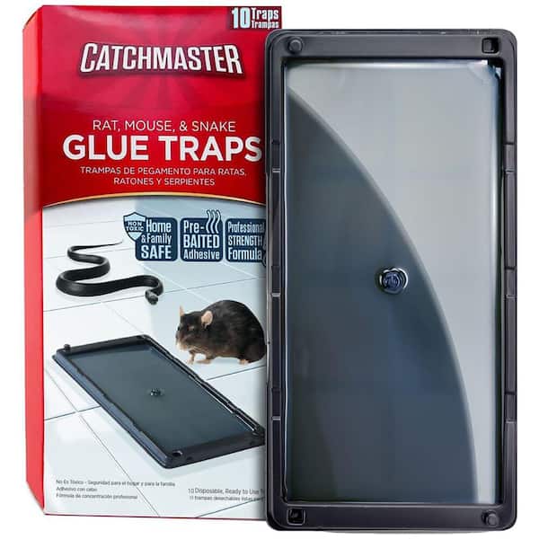 Glue Mouse Traps Indoor for Home 10pack