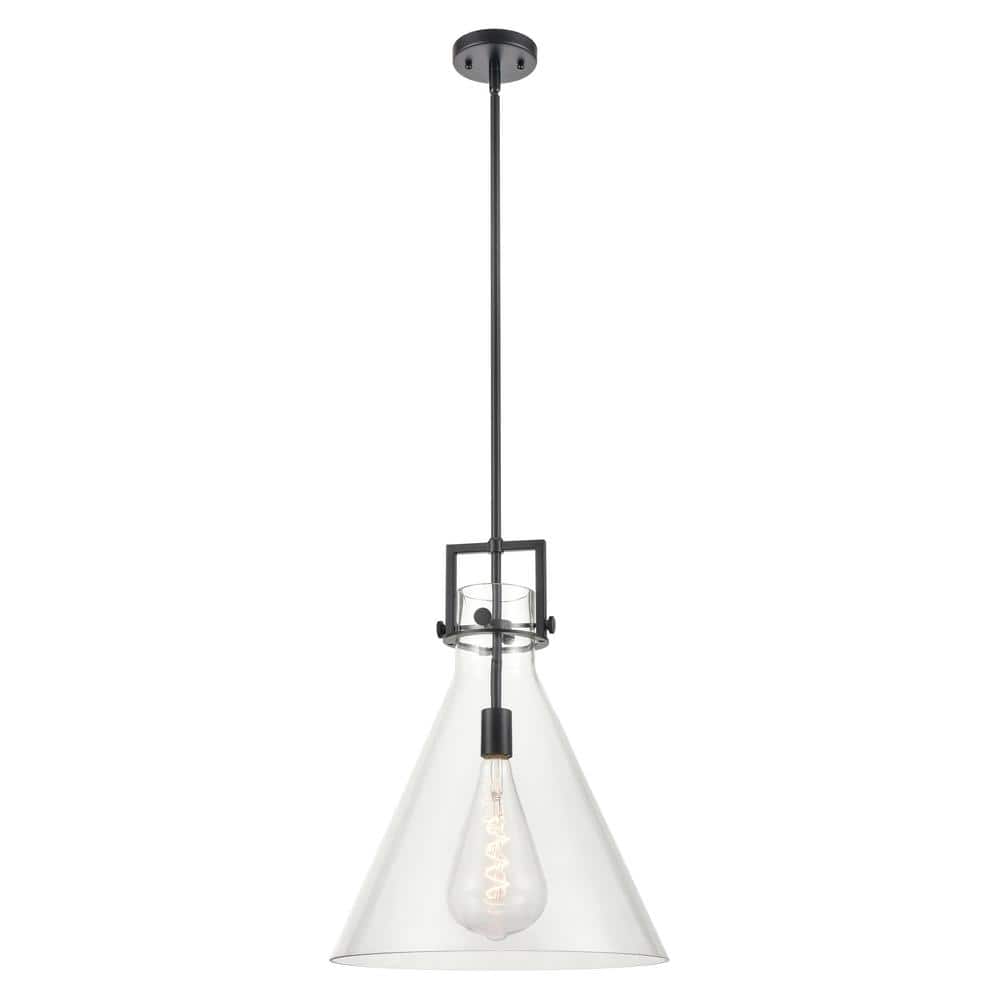 Newton Cone 100-Watt 1-Light Matte Black Shaded Mini Pendant Light with Clear Glass Shade price history on PriceWatchPro