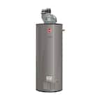 Commercial Medium Duty 50 Gal. 65K BTU Low NOx (LN) Natural Gas Power Direct Vent Tank Water Heater