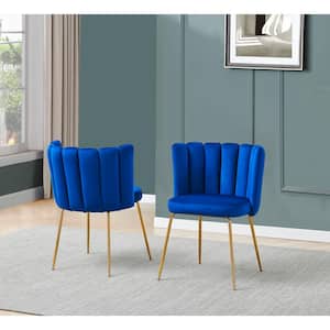 Elegante Blue Velvet Fabric Side Chairs (Set of 2)