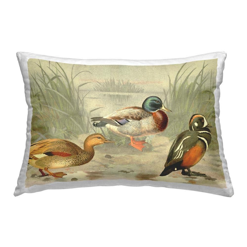 Ducks and Pond Nature Green Print Polyester 14 in. x 20 in. Throw Pillow price history on PriceWatchPro