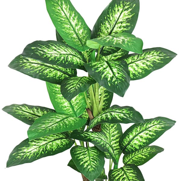 5 ft. Real Touch Green Variegated Artificial Dieffenbachia Tree in Black Pot