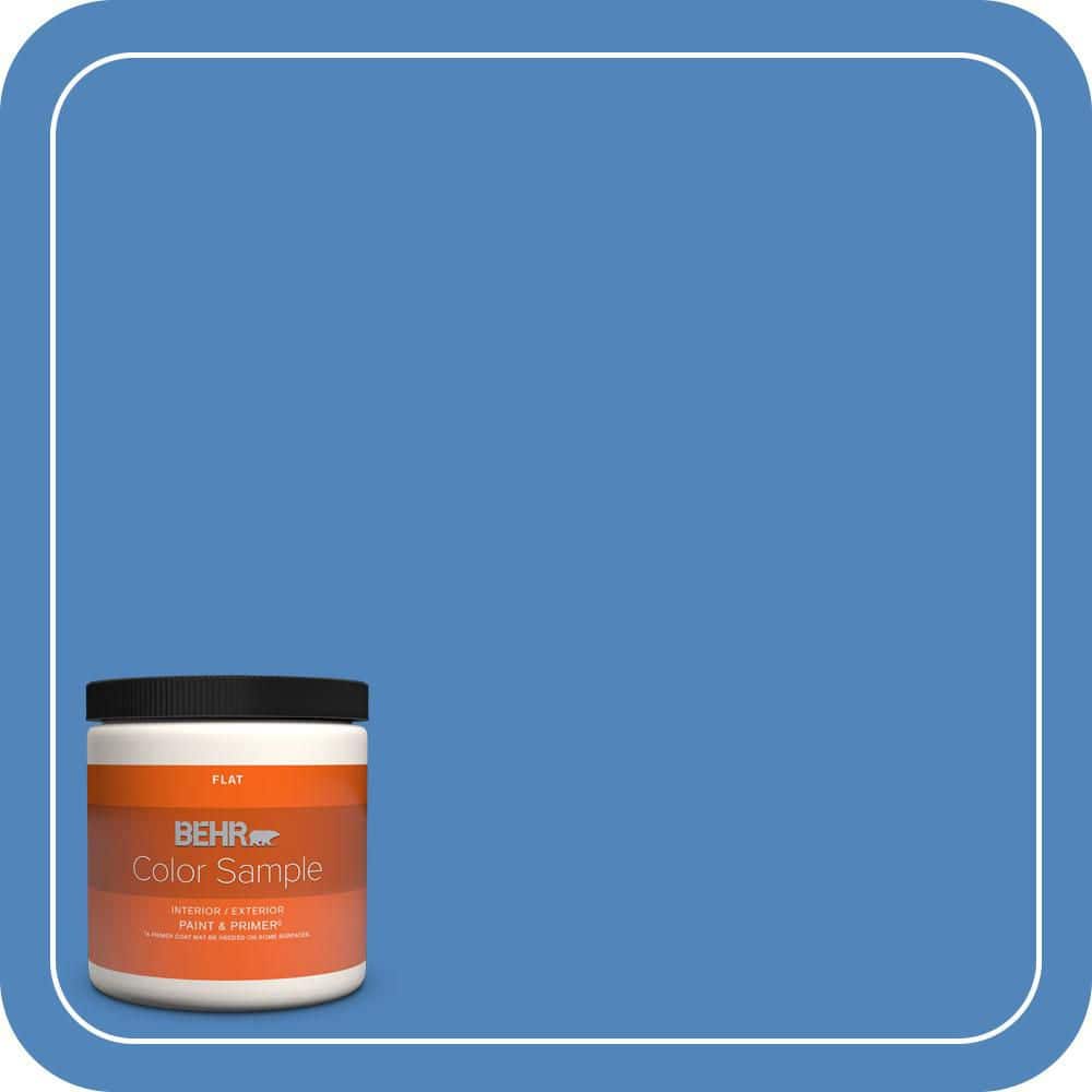 8 oz. #570B-6 Handsome Hue Flat Interior/Exterior Paint & Primer Color Sample price history on PriceWatchPro