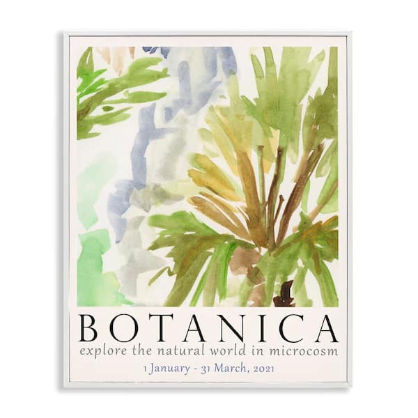 Stupell Industries Botanica Museum Poster by June Erica Vess White Framed Nature Giclee Art Print 20 in. x 16 in.