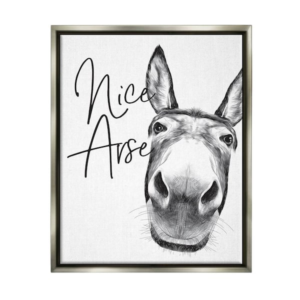 The Stupell Home Decor Collection Animal Humor Nice Arse Donkey Bathroom Phrase by Lettered and Lined Floater Frame Animal Wall Art Print 31 in. x 25 in.