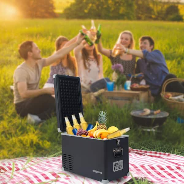 Permasteel Small Picnic White 14-Quart Insulated Personal Cooler in the  Portable Coolers department at