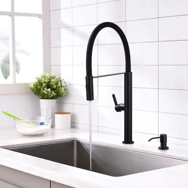 ALEASHA Matte Black 21.2 in. H 360° swivel Pull Down Sprayer