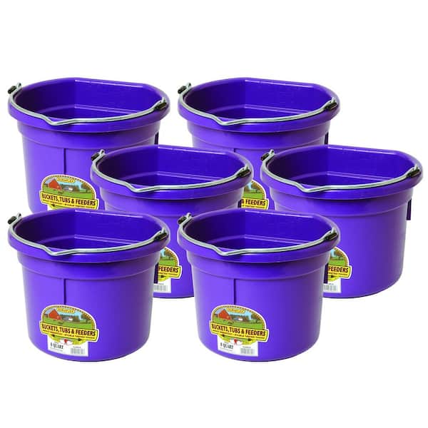Little Giant Purple 2 Gal. All Purpose Plastic Bucket (6-Pack)