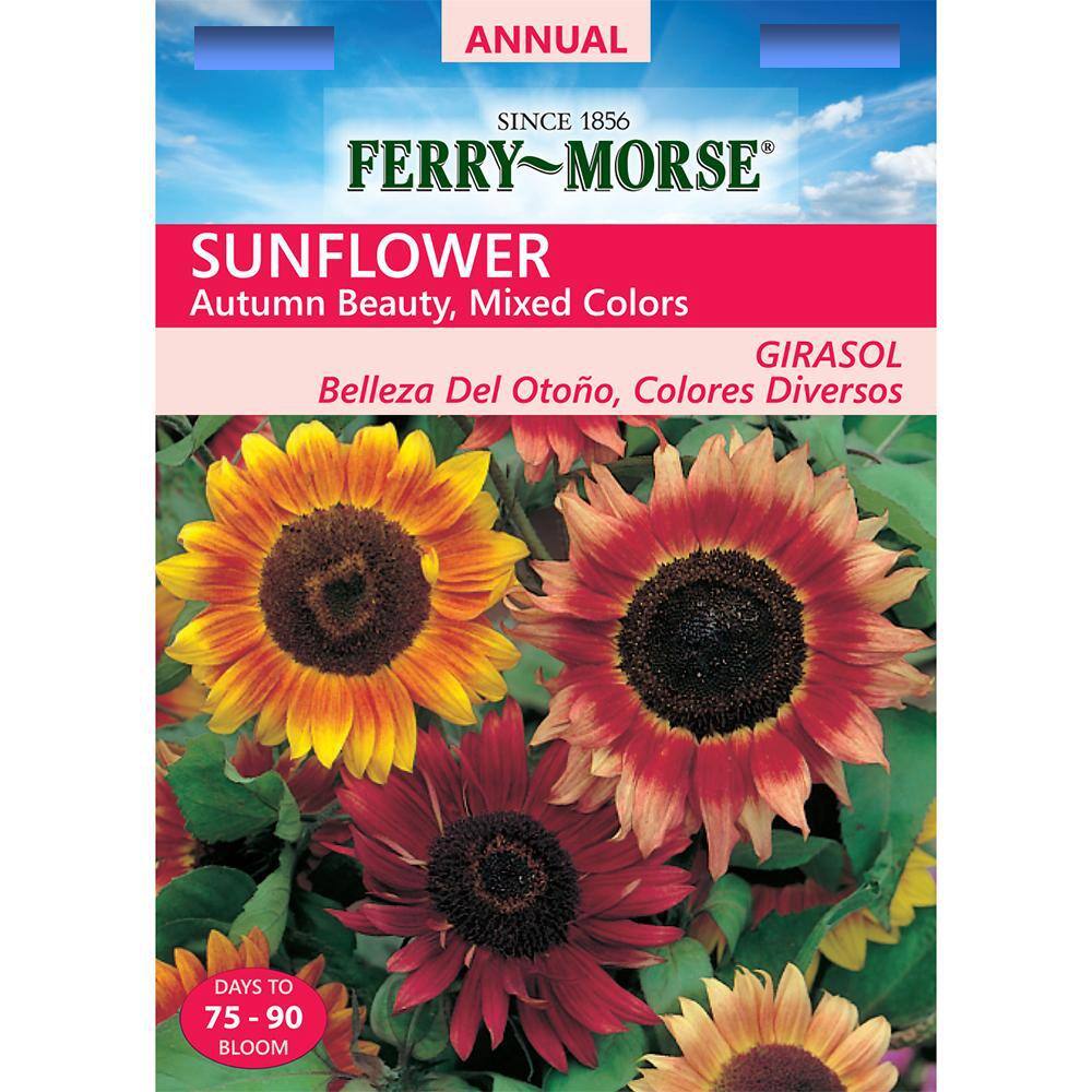 Ferry-Morse Sunflower Autumn Beauty Seed 1498 - The Home Depot