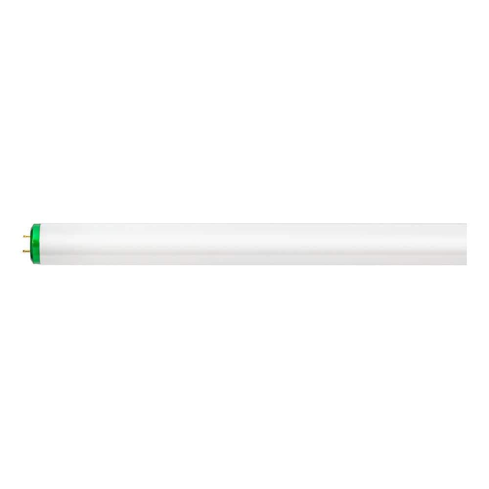 Buy 40-Watt 4 ft. Linear T12 ALTO Fluorescent Tube Light Bulb Natural ...