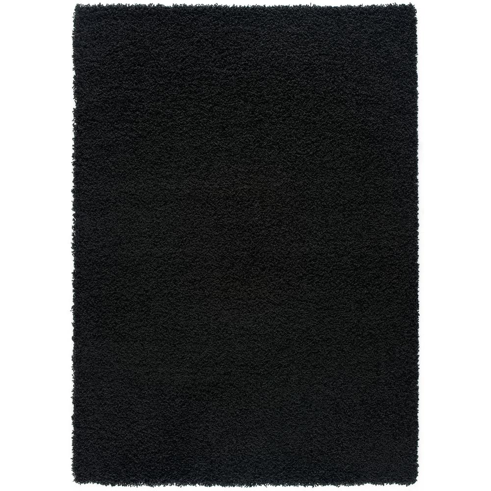 UPC 810024220472 product image for Alora Black 4 ft. x 6 ft. Shag Area Rug | upcitemdb.com
