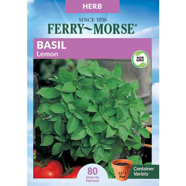Ferry-Morse Basil Lemon Herb Seed