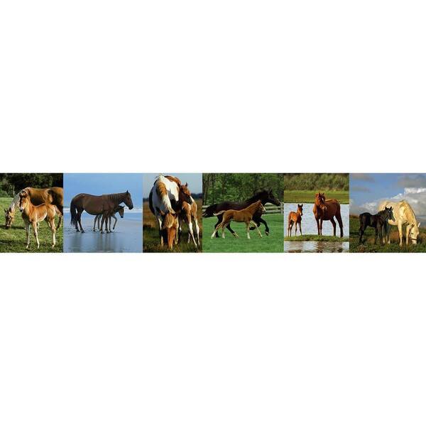 National Geographic 9 in. Horses Border