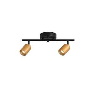 Modern 1 ft. 2 Head-Light, Gold, Integrated LED Fixed Track, Lighting Kit with Rotating Heads
