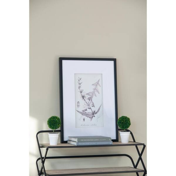 Set of 4 Plastic Framed Home Botanical Wall Art Prints, Home Decor