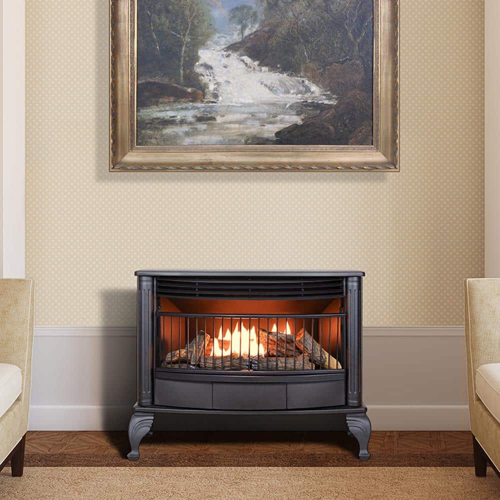 Black Ceramic Dual Fuel Gas Stove with Thermostat Control