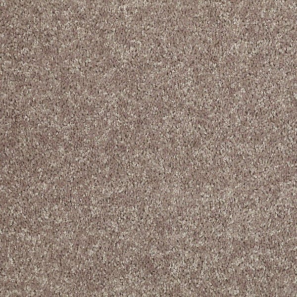 TrafficMaster 8 in. x 8 in. Texture Carpet Sample - Alpine - Color Will Power