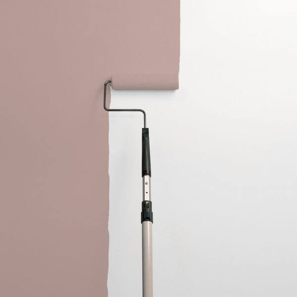 Iris Mauve PPG1016-5 Paint