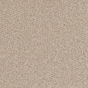 Perfected I  - Refined - Beige 40 oz. SD Polyester Texture Installed Carpet