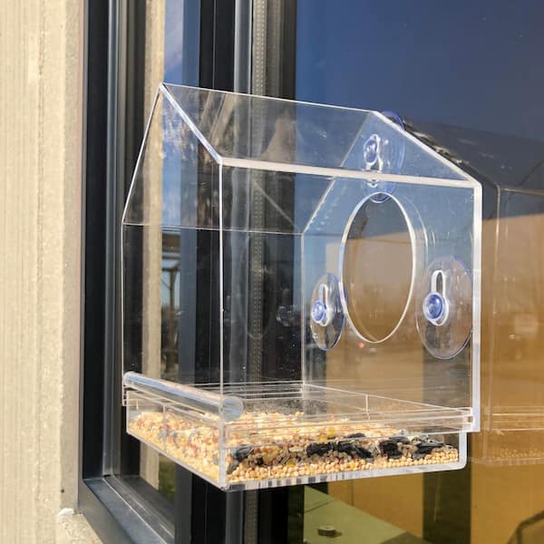 BACKYARD EXPRESSIONS PATIO · HOME · GARDEN Clear Plastic Window Bird Feeder  with Powerful Suction 913555 - The Home Depot
