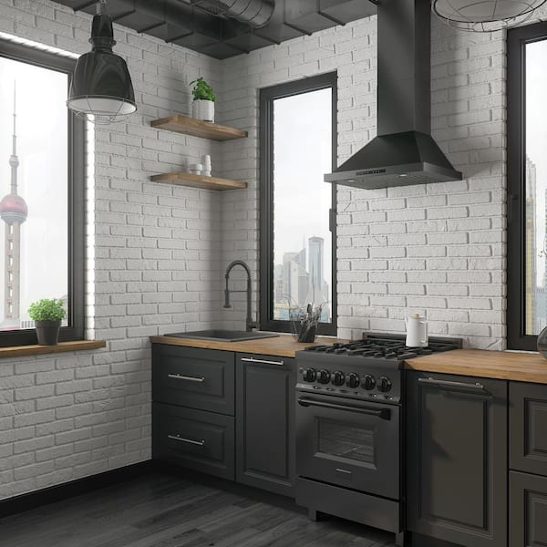 24 in. 400 CFM Ducted Vent Wall Mount Range Hood in Black Stainless Steel