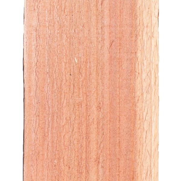 Mendocino Forest Products 6 ft. H x 8 ft. W Construction Common Redwood  Dog-Ear Fence Panel 07635 - The Home Depot