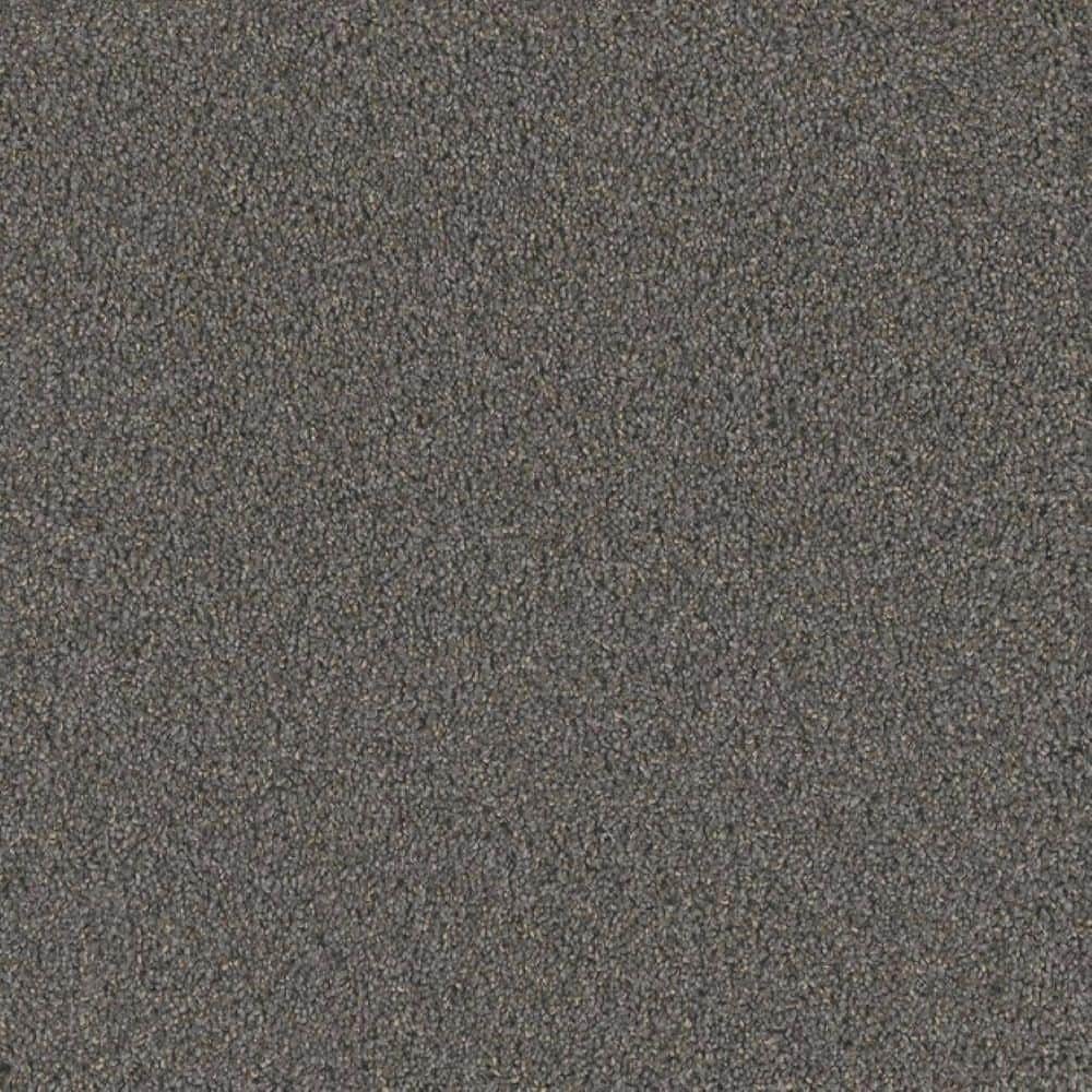8 in. x 8 in. Texture Carpet Sample-Meringue II-Color Sweet price history on PriceWatchPro