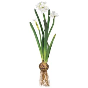 30 in. Artificial Paper White with Bulb Stem White Polyester