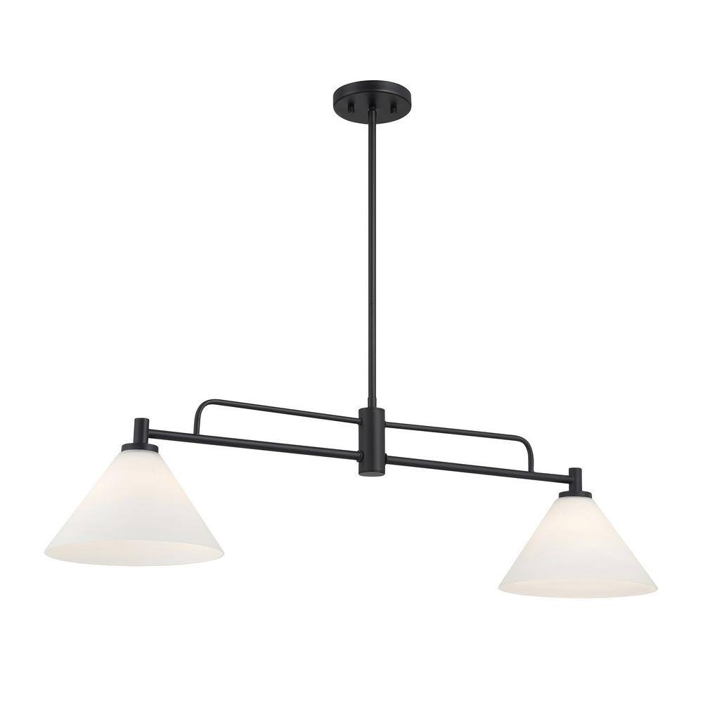 Meridian 10 in. W x 10 in. H 2-Light Matte Black Transitional Chandelier with White Opal Glass Shades price history on PriceWatchPro