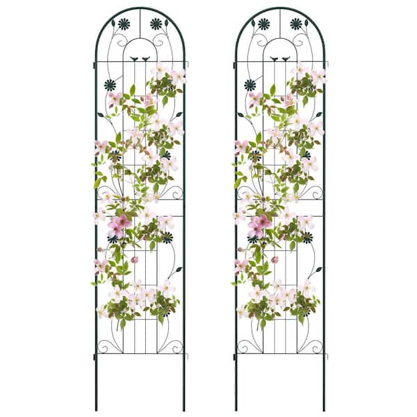 Unbranded 86.5 in. x 20 in. Green Metal Arch Garden Trellis Decorative for Climbing Plants (2-Pack)