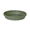 hanging planter pot The Sill Golden Pothos Hanging Basket Houseplants, Medium in Grow Pot main image 1