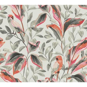 60.75 sq. ft. Tropical Love Birds Wallpaper