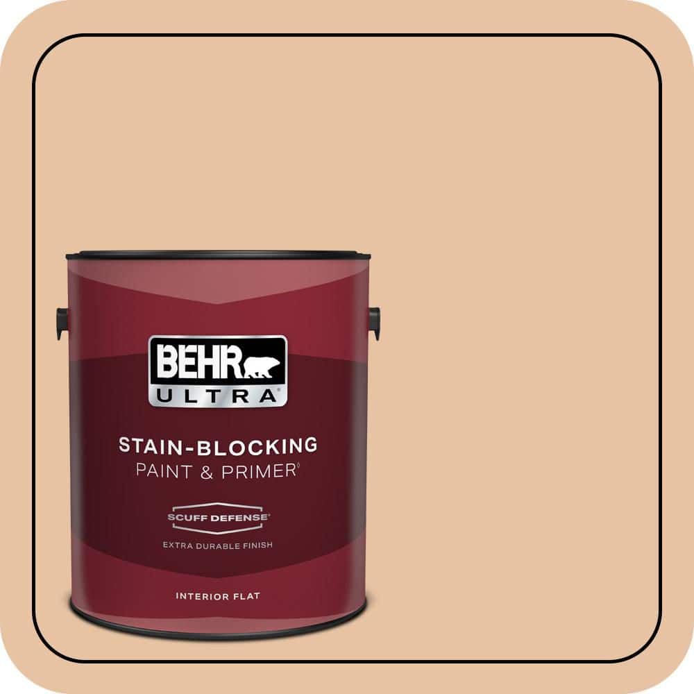 1 gal. #260E-3 Pueblo Sand Extra Durable Flat Interior Paint & Primer price history on PriceWatchPro