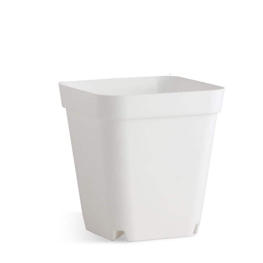 120 pcs. 3.5 in. White Nursery Pots with Drainage Holes and Durable Plastic Succulents Pots for Seedlings and Cuttings price history on PriceWatchPro