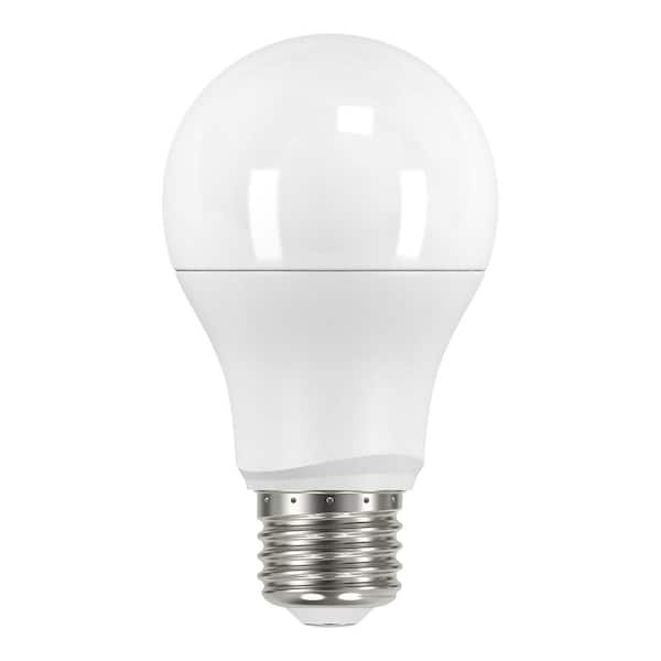 Oslo 5-Light Brushed Nickel Hanging Chandelier with LED Bulbs