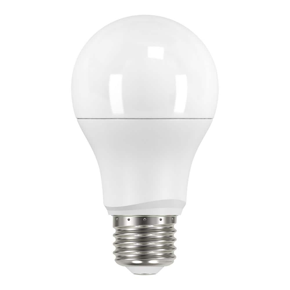 Alturas Mini-Pendant Light in Brushed Nickel with Etched White Glass