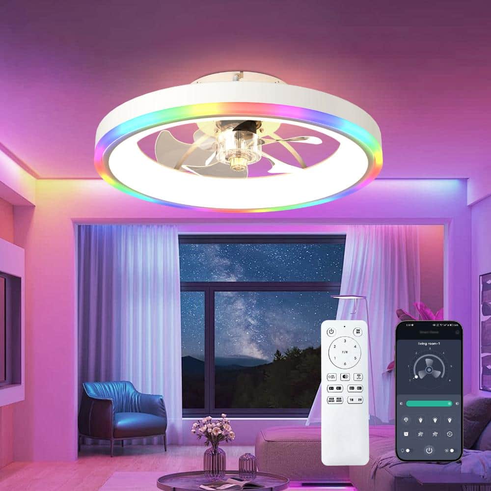 20 in. RGB Flush Mount Ceiling Fan with Light Remote/APP 6-Speed Reversible Silent DC Motor, Dimmable, White price history on PriceWatchPro