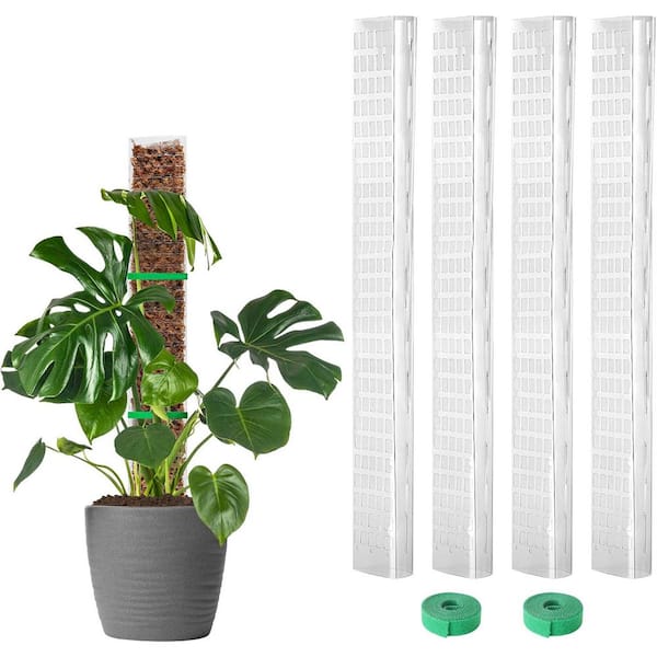 24 in. H Clear Plastic Moss Pole for Monstera D Shaped Poles for