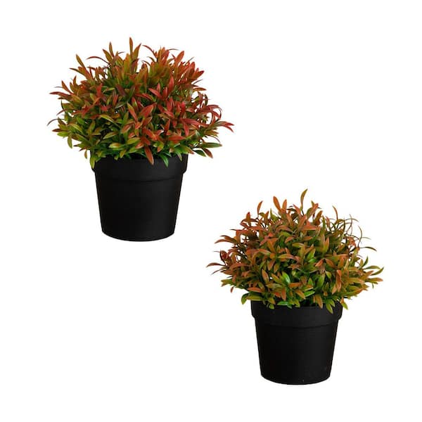 6 in. Artificial Grass Plant in Black Pot - (Set of 2)