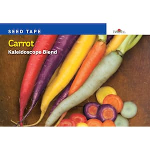 Seed Tape Carrot Kaleidoscope Blend Seed
