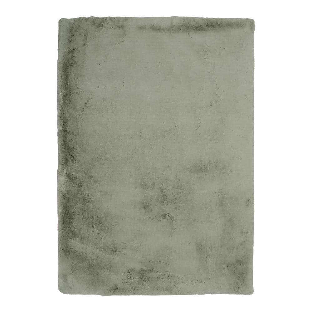 Kelsi Faux Rabbit Pale Green 8x10 Area rug price history on PriceWatchPro