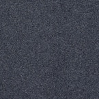 Seafront - Color Dark Blue 6 ft. Indoor/Outdoor Texture Marine Carpet