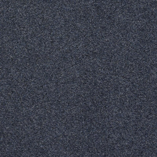 Unbranded Seafront - Color Dark Blue 6 ft. Indoor/Outdoor Texture Marine Carpet
