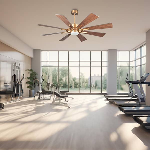 60 in. Windmill 8-Blade Integrated LED Gold Ceiling Fan with Light and Remote Control