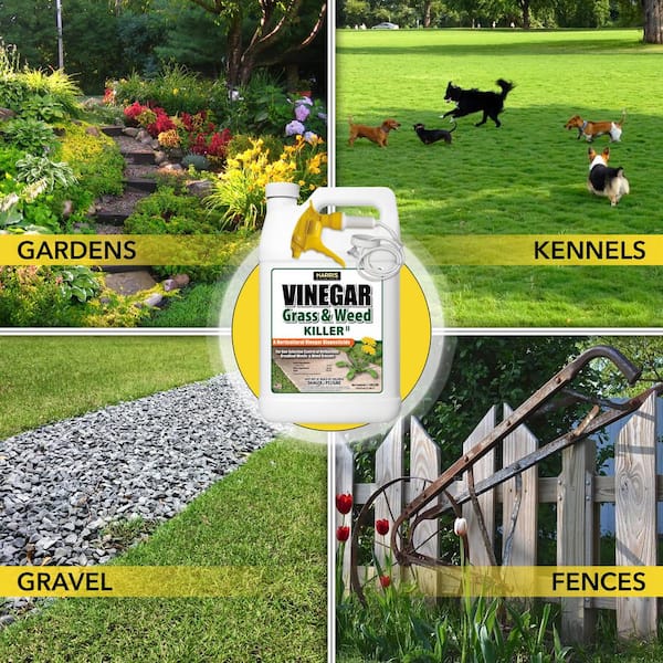 Harris 1 Gal. 20% Vinegar Weed Killer VWEED-128 - The Home Depot